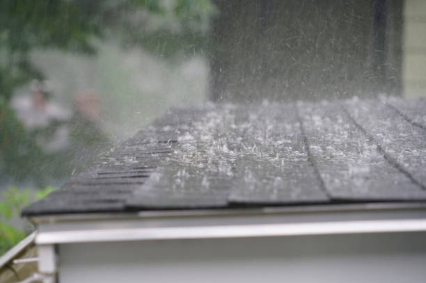Best Sheet Metal Roofing  in Winston, OR