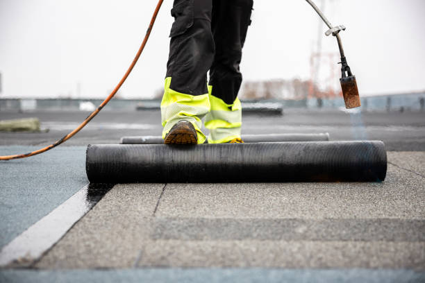 Best Skylight Installation and Repair  in Winston, OR