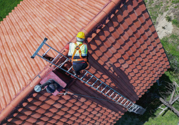 Best Asphalt Shingle Roofing  in Winston, OR